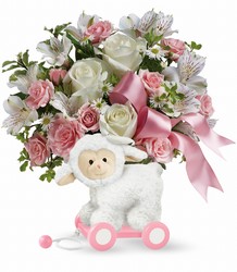 Sweet Little Lamb - Baby Pink Cottage Florist Lakeland Fl 33813 Premium Flowers lakeland